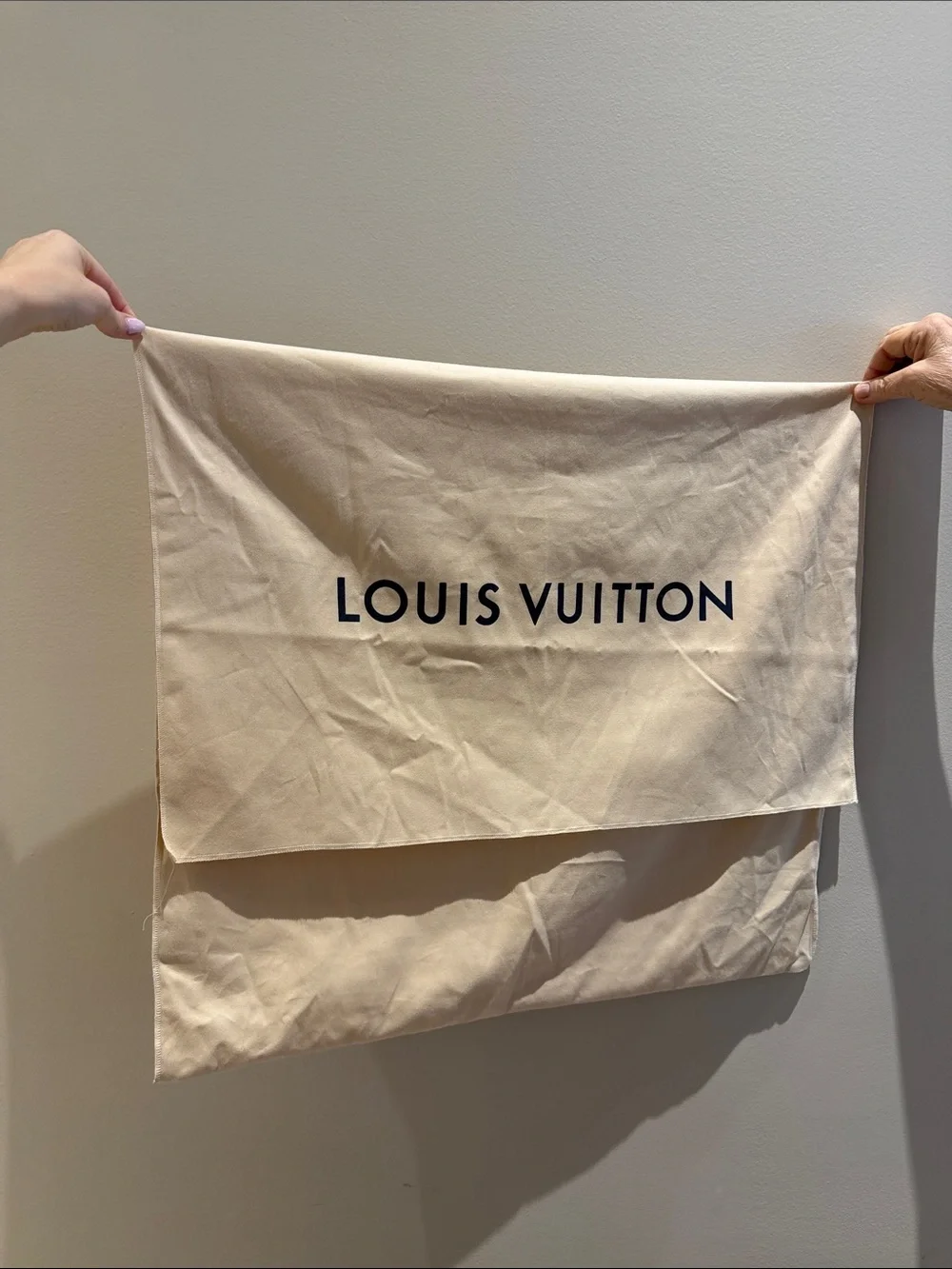 Louis Vuitton XL Dust Bag